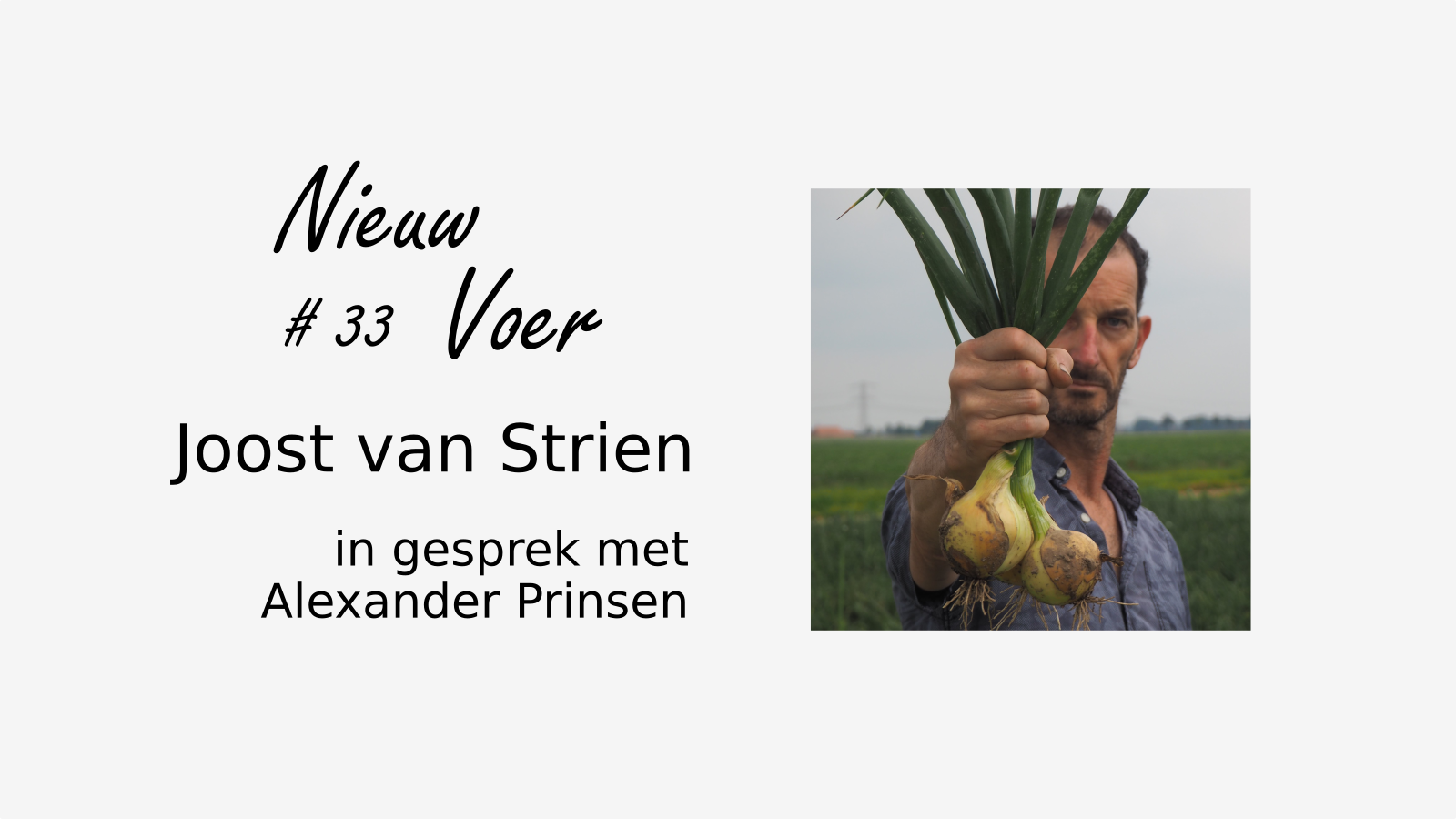NV#33 Joost van Strien - Nieuw Voer